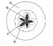Question diagram