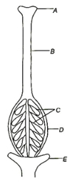 Question diagram