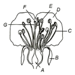 Question diagram