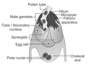 Solution diagram