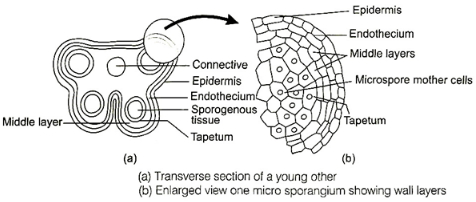 Solution diagram