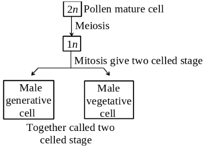 Solution diagram