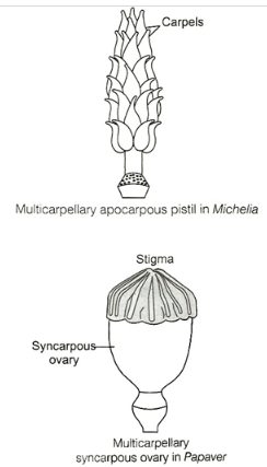 Solution diagram