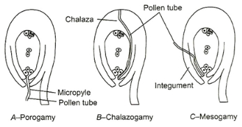 Solution diagram