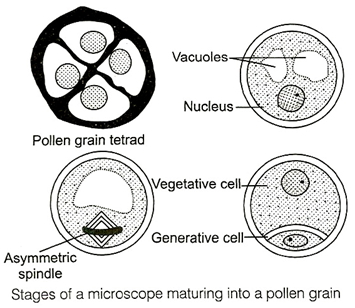Solution diagram