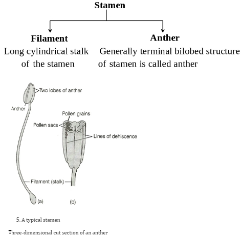 Solution diagram