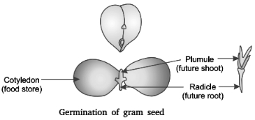 Solution diagram