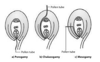Solution diagram