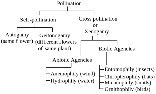 Solution diagram