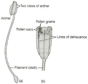 Solution diagram