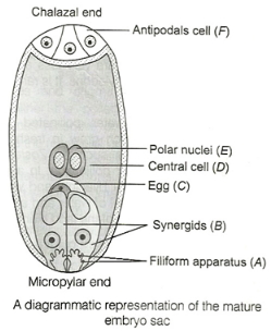 Solution diagram