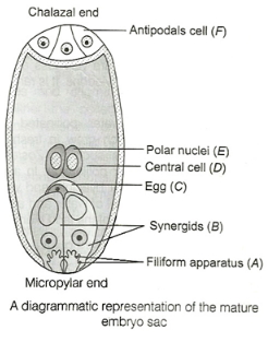 Solution diagram