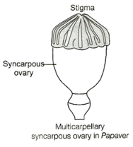 Solution diagram