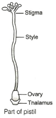 Solution diagram