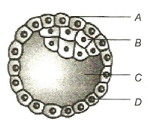 Question diagram