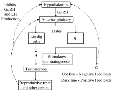 Question diagram
