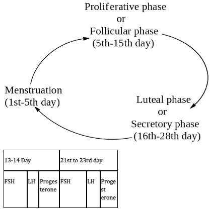 Question diagram