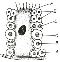 Question diagram