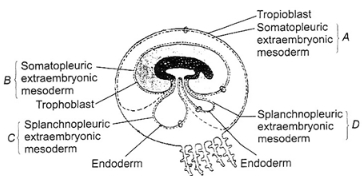Question diagram