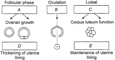 Question diagram
