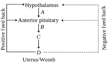 Question diagram