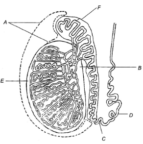 Question diagram