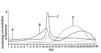 Question diagram