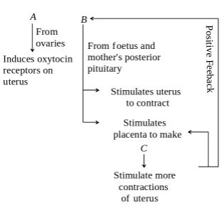 Question diagram