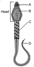 Question diagram