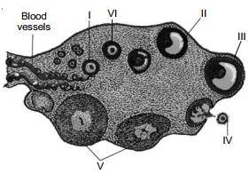 Question diagram
