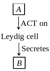 Question diagram