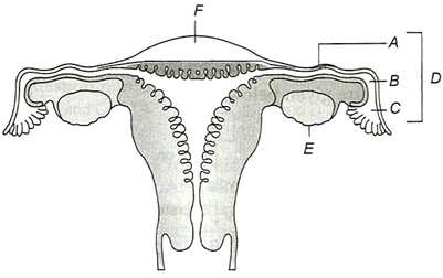 Question diagram