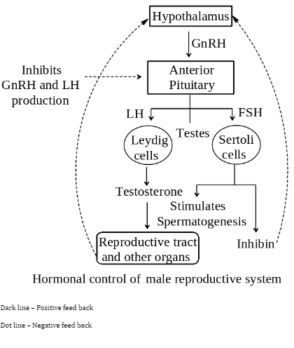 Solution diagram