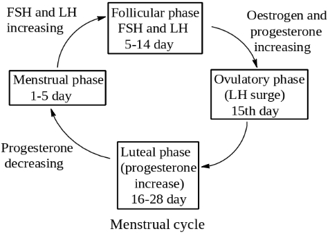 Solution diagram