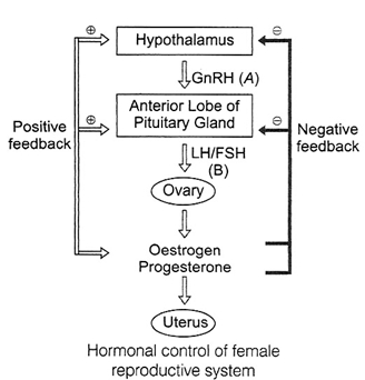 Solution diagram