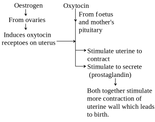 Solution diagram