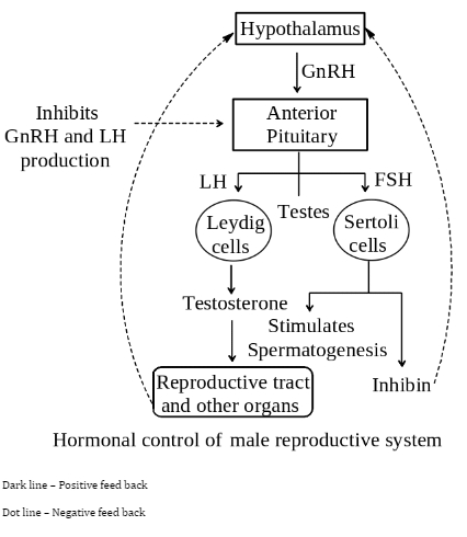 Solution diagram