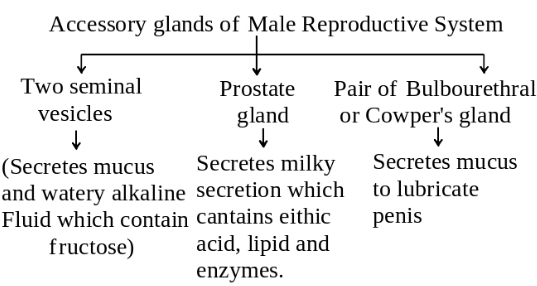 Solution diagram