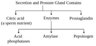 Solution diagram