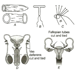 Question diagram