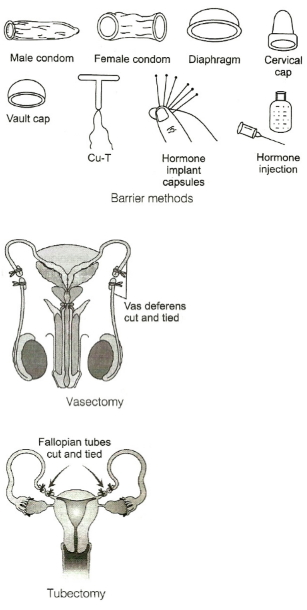 Solution diagram