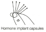 Solution diagram