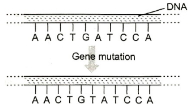 Question diagram