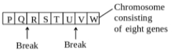 Question diagram