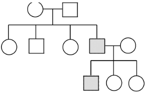 Question diagram