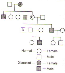 Question diagram