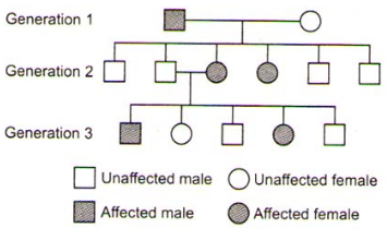 Question diagram