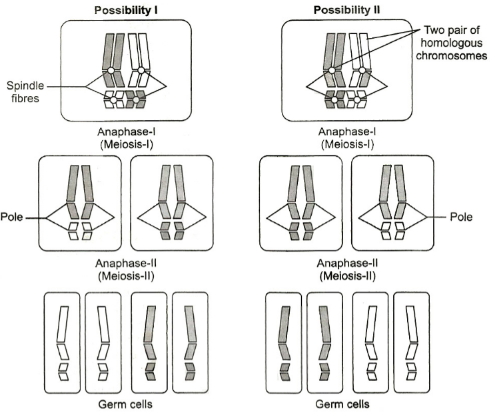 Question diagram