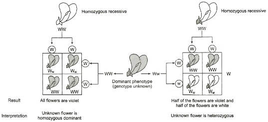 Solution diagram