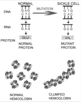 Solution diagram